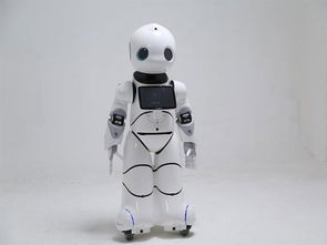 筑梦智能未来 2017年度前沿文化科技产品优友U-Partner机器人研发侧记